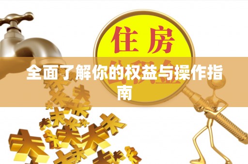 望牛墩全面了解你的权益与操作指南