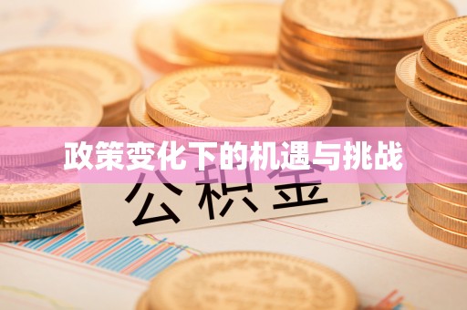 望牛墩政策变化下的机遇与挑战