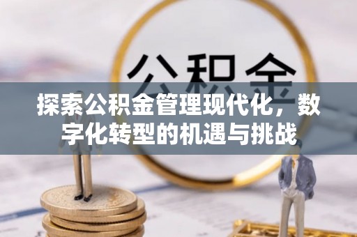 望牛墩探索公积金管理现代化，数字化转型的机遇与挑战
