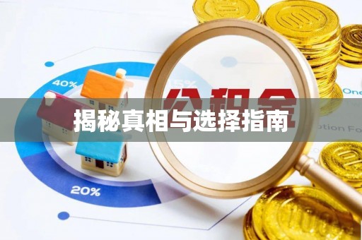 望牛墩揭秘真相与选择指南