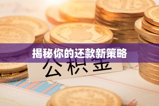 望牛墩揭秘你的还款新策略