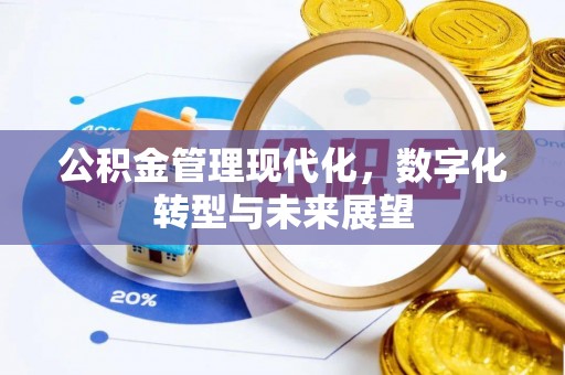 望牛墩公积金管理现代化，数字化转型与未来展望