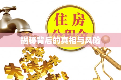 望牛墩揭秘背后的真相与风险
