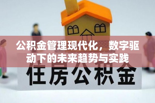 望牛墩公积金管理现代化，数字驱动下的未来趋势与实践