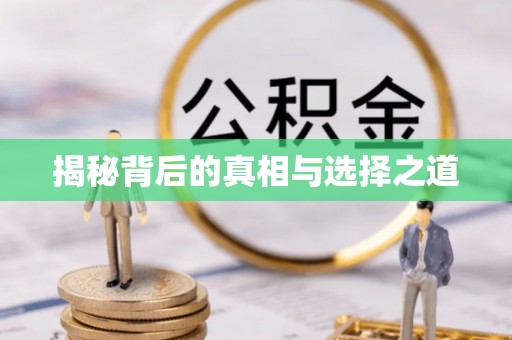 望牛墩揭秘背后的真相与选择之道