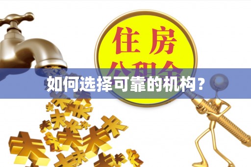 望牛墩如何选择可靠的机构？