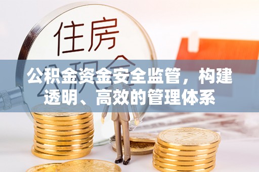 望牛墩公积金资金安全监管，构建透明、高效的管理体系