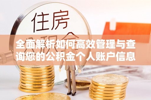 望牛墩全面解析如何高效管理与查询您的公积金个人账户信息