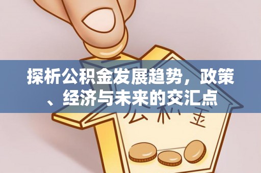 望牛墩探析公积金发展趋势，政策、经济与未来的交汇点