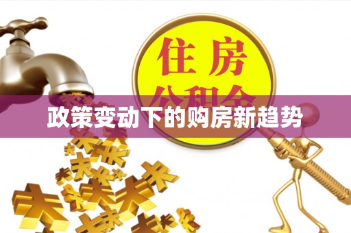 望牛墩政策变动下的购房新趋势