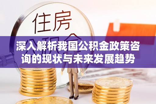 望牛墩深入解析我国公积金政策咨询的现状与未来发展趋势