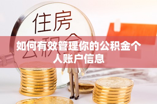 望牛墩如何有效管理你的公积金个人账户信息