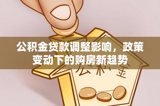望牛墩公积金贷款调整影响，政策变动下的购房新趋势