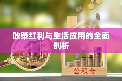 望牛墩政策红利与生活应用的全面剖析