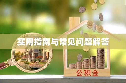 望牛墩实用指南与常见问题解答
