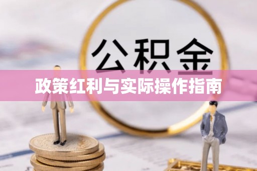 望牛墩政策红利与实际操作指南