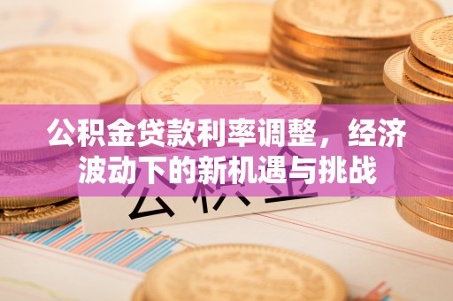 望牛墩公积金贷款利率调整，经济波动下的新机遇与挑战