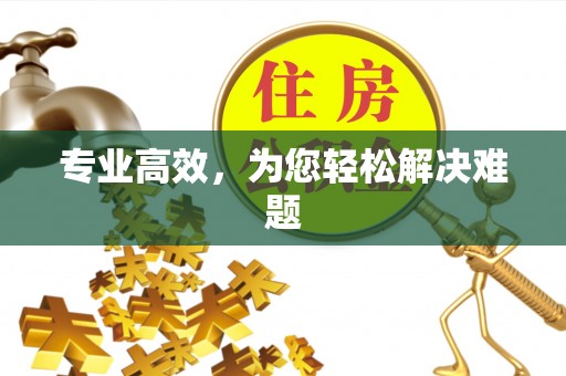 望牛墩专业高效，为您轻松解决难题