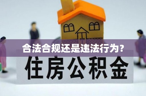 望牛墩合法合规还是违法行为？
