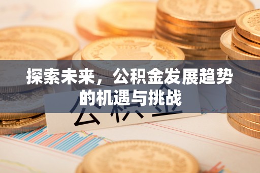 望牛墩探索未来，公积金发展趋势的机遇与挑战