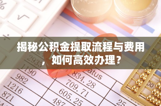 望牛墩揭秘公积金提取流程与费用，如何高效办理？