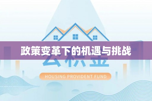 望牛墩政策变革下的机遇与挑战
