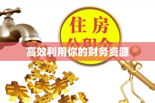 望牛墩高效利用你的财务资源