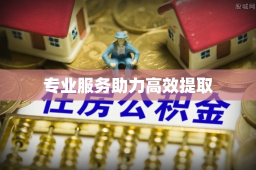 望牛墩专业服务助力高效提取