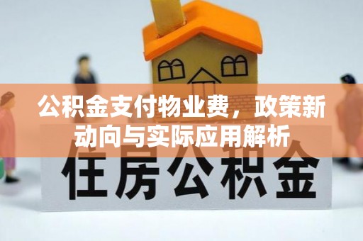 望牛墩公积金支付物业费，政策新动向与实际应用解析
