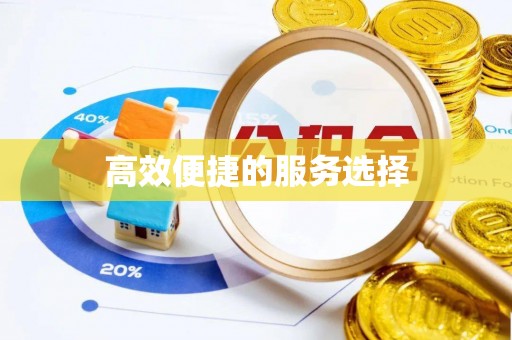 望牛墩高效便捷的服务选择