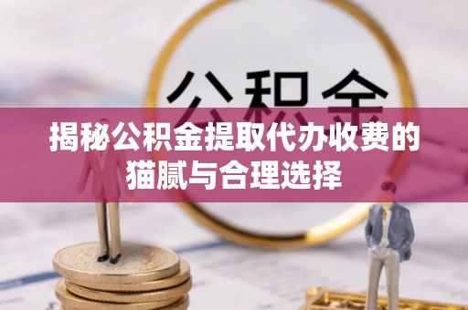 望牛墩揭秘公积金提取代办收费的猫腻与合理选择