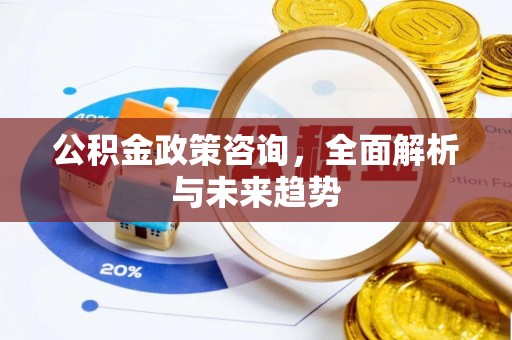 望牛墩公积金政策咨询，全面解析与未来趋势